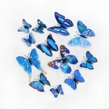 Set of 12 blue 3D simulation butterfly wall stickers in various sizes and styles - Blue Series - Magnet Style