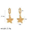 Golden starfish hoop earrings with textured finish and precise dimension measurements - Starfish Style (TE60453)