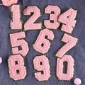 Toppe numeriche in ciniglia rosa con bordi dorati glitterati per decorazione fai-da-te - 8cm/Rosa/Set di Numeri 0-9