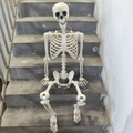 Poseable life-sized white skeleton prop sitting on stairs for Halloween decoration - New 165cm Human Skeleton