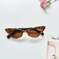 Chic cat eye sunglasses with leopard print frame and brown lenses for stylish women - Cat Eye Leopard Pattern