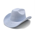Close-up of light blue suede western cowboy hat with classic curved brim and soft texture - M (56-59cm) / Light Blue (Suede)