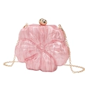 Borsa a mano a fiori in acrilico rosa con catena dorata e chiusura a sfera su bianco - Rosa