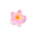Pink and white gradient plumeria flower hair claw clip with matte resin finish - 4cm / Gradient Rose Red
