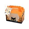 Halloween gift box with window showing orange black cat bat and pumpkin patterns - Orange (Black Cat)