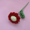 Handmade crochet red rose with yellow core and green leaves on a pink background - Red Camomile