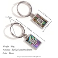 Boucles d'oreilles en acier 316L avec incrustation coquillage et pendentif zircon - Argent-Coquille d'Abalone