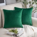 Set of two green velvet throw pillow covers on a minimalist sofa for home decor - 30*50cm (No Insert) / Dark Green