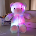 Luminous rainbow plush puppy dog with glowing LED lights and a pink silk ribbon bow - Tie-dye Bear