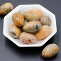 Polished egg-shaped natural agate gemstones in orange and white patterns in a white bowl - Crazy Lace Agate (1pc)