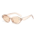 Retro oval sunglasses with translucent nude pink frames and light brown lenses - Light Tea Frame Tea Lens