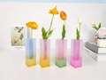 Set di quattro vasi rettangolari minimalisti in acrilico con fondo a sfumatura colorata - Set da 4 Pezzi Stile Smerigliato