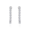 Boucles d'oreilles linéaires en acier titane avec zircons brillants et glands chic - Argenté