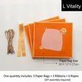 Set de bolsas de regalo naranjas con lazos y asas para empaques de festivales - Bolsa de Regalo ZD5001 Enérgica-L Enérgica (Juego de 3)