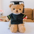 White-collar Graduation Bear - Brown 30 Centimeters In Length