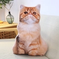 Realistic orange tabby cat plush pillow resting on a modern beige living room sofa - Exotic Shorthair Yellow 30*45cm