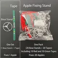 Christmas apple packaging set with clear base holders and festive red or green tape - Apple Packaging Tray and Festive Tape Set