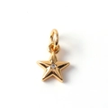Macro view of gold-plated star pendant with cubic zirconia detail for jewelry making - 17-Single Zircon Star