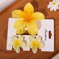 Yellow Set Standard