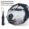 Automatic folding umbrella with large husky face print, windproof and UV resistant - Automatic Large Husky