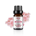 10ml Sakura wasserlösliches Duftöl in brauner Glasflasche für Luftbefeuchter - Kirschblüten Duftöl