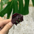 Elegante pinza para el pelo de acetato morado oscuro con forma de nube para mujer - Rojo Cereza