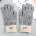 Winter thermal touch screen gloves in grey knit with beige ribbed cuffs and logo patch - Gray