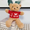 Brown teddy bear in a red heart sweater sitting on books for Valentine's gift - Brown Bear - Red I Love You Sweater / 30cm