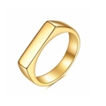 Anello minimalista in acciaio al titanio dorato con parte superiore piatta lucidata - US 6 / Oro