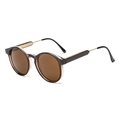 Vintage round tea brown sunglasses featuring translucent frames and gold metal temples - Transparent Tea