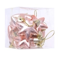 Set of 12 rose gold 5cm electroplated star ornaments for Christmas tree in clear box - Rose Gold