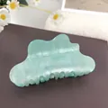 Eleganter lichtdurchlässiger mintgrüner Haarklammer mit glitzerndem Gold-Finish - Cyan