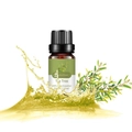 Pure tea tree essential oil 10ml bottle with splash of oil and green tea tree leaves - Tea Tree (single Ingredient)