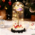 Christmas glass dome with aurora rose, mini Santa Claus figure, and warm LED fairy lights - Gold Foil Flower + Santa Claus + Mushroom