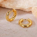 Classic thick golden hoop earrings in polished titanium steel for minimalist fashion - 4.0 Gold Color Inner Diameter 12mm