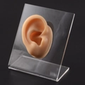 Flesh-colored silicone ear model with clear acrylic display stand for jewelry and hearing aids - Flesh Right Ear