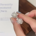 Glinsterende S925 zilveren vuurwerk oorknopjes voor dames met sterrenbeeld patroon - Radiale Vuurwerkstijl / Zilver