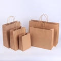 Brown kraft paper gift bags with twisted handles in multiple sizes on white backdrop - 15*8*21cm / Kraft Brown