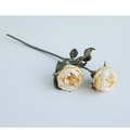 Artificial champagne rose silk flower with two heads and burnt edges on white background - Autumn White