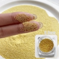 0,8 mm goldene Metall-Mikroperlen für Nailart und DIY-Dekorationen in Großpackung - 0.8mm Gold ca. 5g