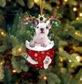 Weihnachtsbaum-Anhänger mit einer Französischen Bulldogge in einem roten Weihnachtsstrumpf - Französische Bulldogge Typ
