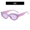 Retro purple translucent cat-eye sunglasses with sleek C4 design for a vintage look - Purple Frame / Purple Lens