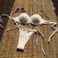 Detail of white shell bikini with ocean charms and pearls on a woven straw mat - S / White