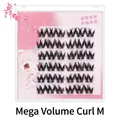 Self-adhesive black eyelash clusters in Big Curl M style with 6 rows per box - Glue-Free Large Curl