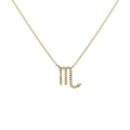 Macro shot of Scorpio zodiac pendant with sparkling zircon in gold plating - Gold Scorpio