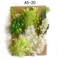 Preserved dried flower DIY kit with hydrangea and moss in light green and white tones - Flower Pack No.20