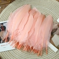 Pink decorative goose feathers on a woven mat for DIY crafts and wedding decor - Stiff Champagne (50Pcs)