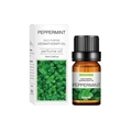 Peppermint aromatherapy essential oil 10ml bottle with professional packaging - Mint