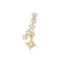 EGD0563 Shooting Star