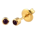 Boucles d'oreilles en acier inoxydable plaqué or 24K avec cristal violet et serti clos - Février (Améthyste)
